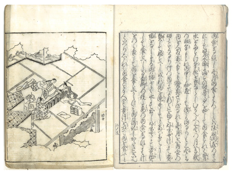 婦人寿草 人と薬のあゆみ